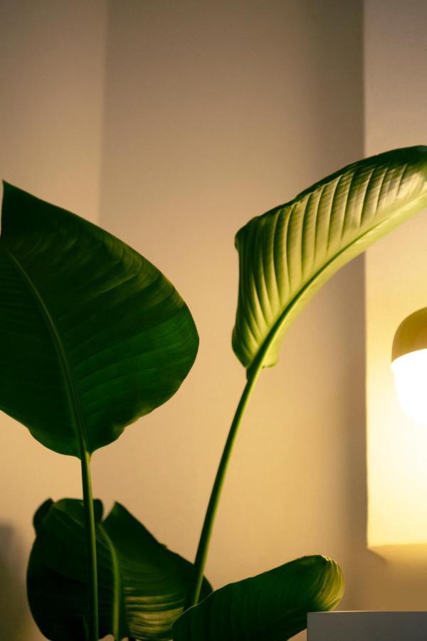 #9 3mins To Station 1stop To Shinjuku Stylish With Plenty Of Sunlight Appartement